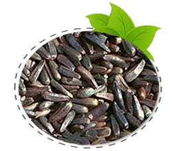 niger-seed