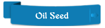 oil-seed