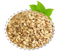 seasame-seed